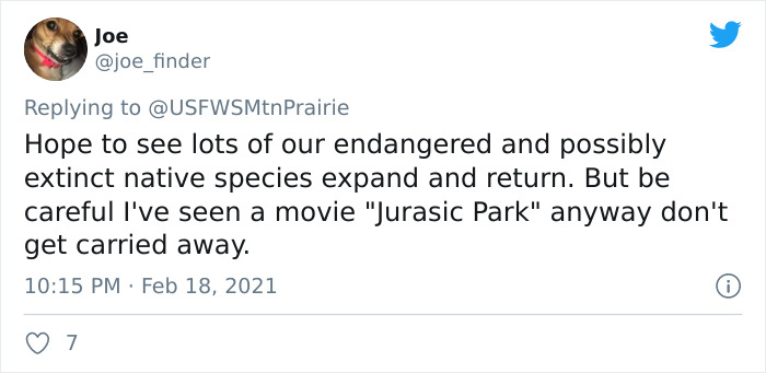 Scientists Successfully Clone A Ferret That Died In 1988, And This Might Be A Way Of Protecting Endangered Species