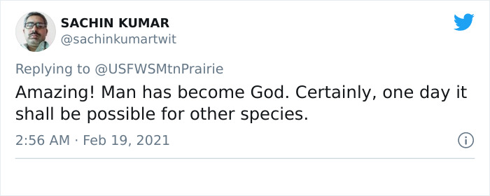 Scientists Successfully Clone A Ferret That Died In 1988, And This Might Be A Way Of Protecting Endangered Species