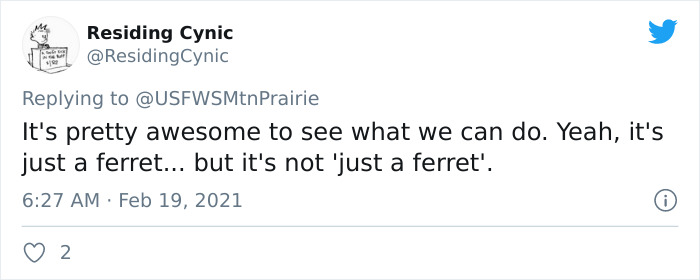 Scientists Successfully Clone A Ferret That Died In 1988, And This Might Be A Way Of Protecting Endangered Species