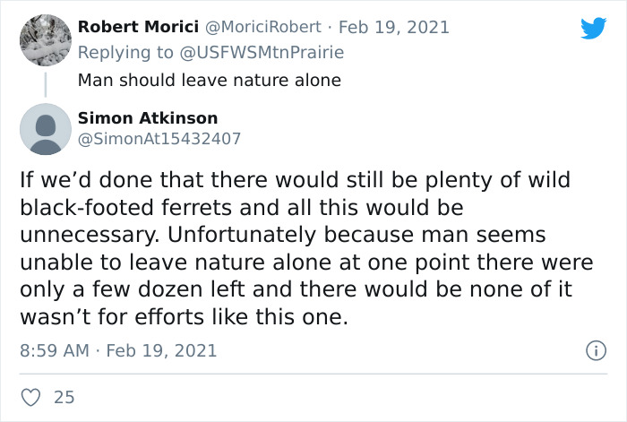 Scientists Successfully Clone A Ferret That Died In 1988, And This Might Be A Way Of Protecting Endangered Species