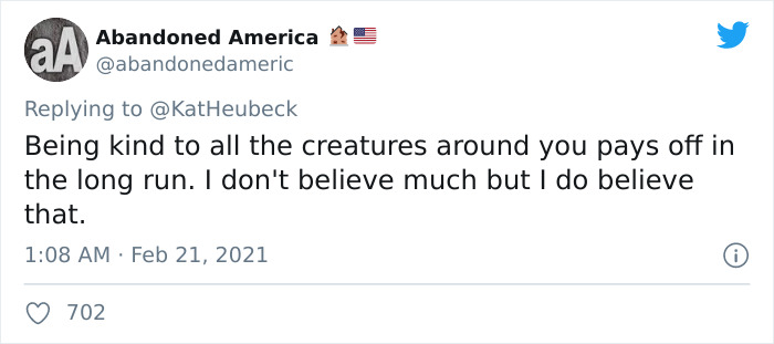 Woman Shares How Feeding And Creating An 'Army Of Crows' Near Her House Possibly Saved This Neighbor's Life