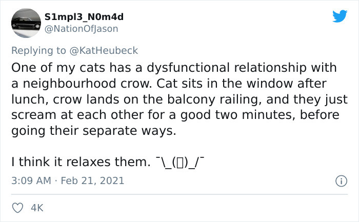 Woman Shares How Feeding And Creating An 'Army Of Crows' Near Her House Possibly Saved This Neighbor's Life Woman Shares How Feeding And Creating An 'Army Of Crows' Near Her House Possibly Saved This Neighbor's Life