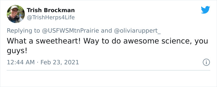 Scientists Successfully Clone A Ferret That Died In 1988, And This Might Be A Way Of Protecting Endangered Species Scientists Successfully Clone A Ferret That Died In 1988, And This Might Be A Way Of Protecting Endangered Species