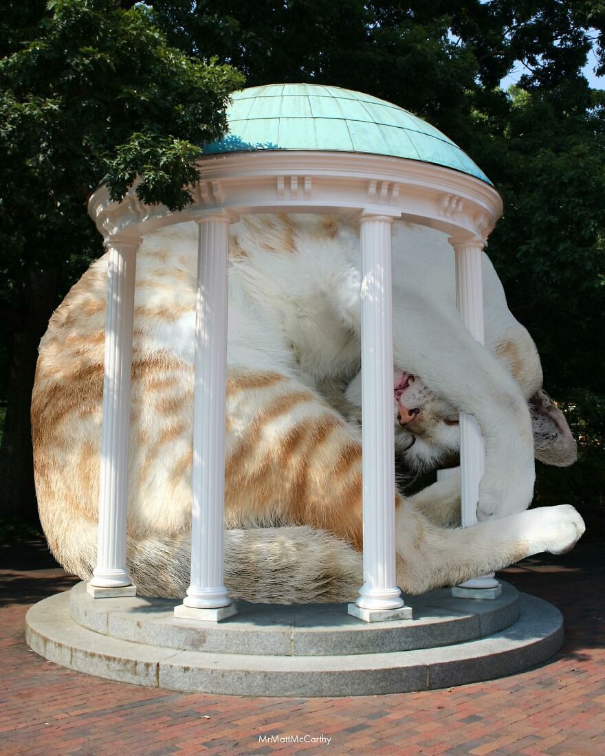 Artist Imagines The World With Giant Cats, And The Result Is Purrrfect