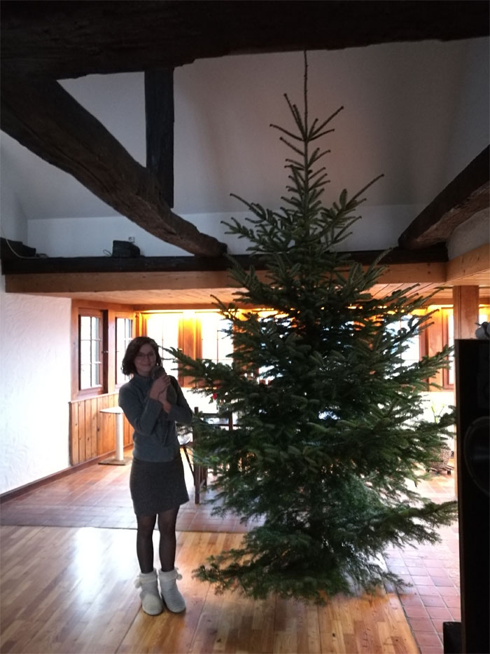 Woman Shares Her Joys And Difficulties Of Living In A 1482 Medieval Castle