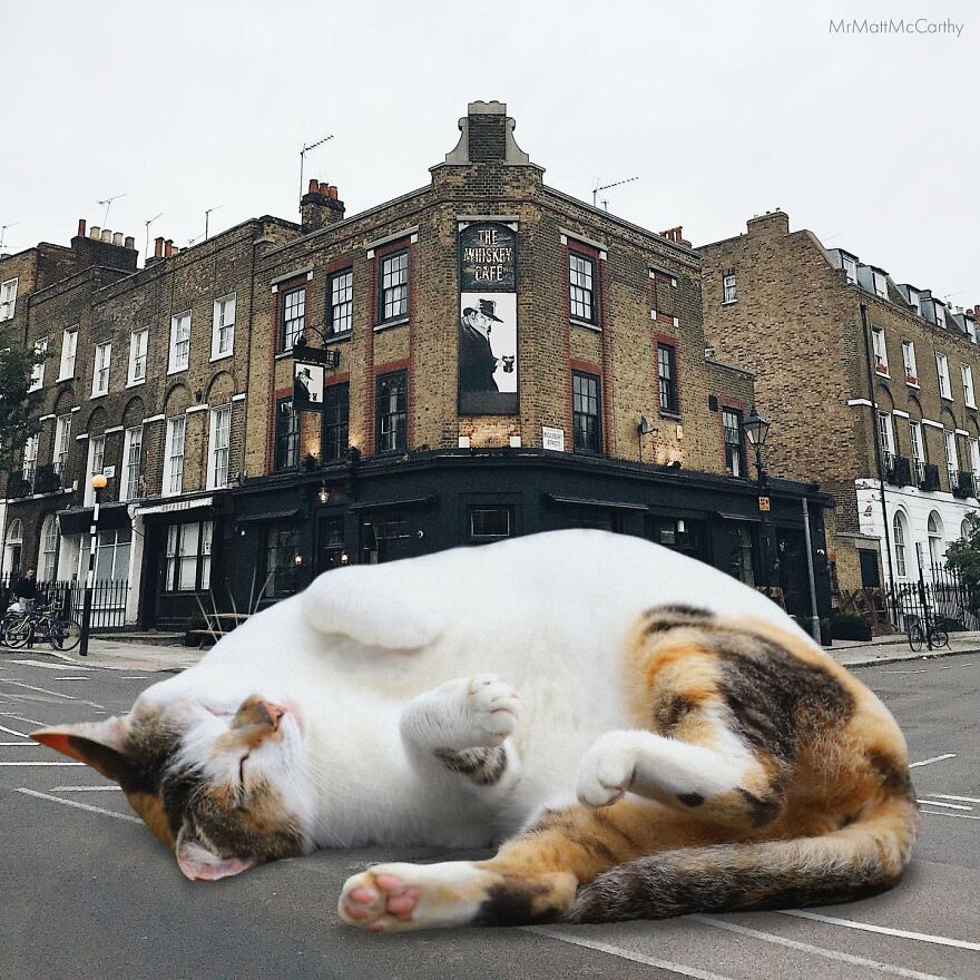 Artist Imagines The World With Giant Cats, And The Result Is Purrrfect