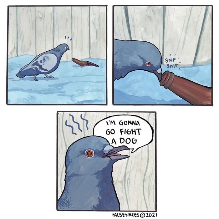 Animals-Birds-Comics-False-Knees