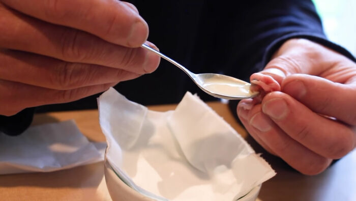 Man Finds An Abandoned Parrot Egg And Hatches It Into An Adorable Budgie