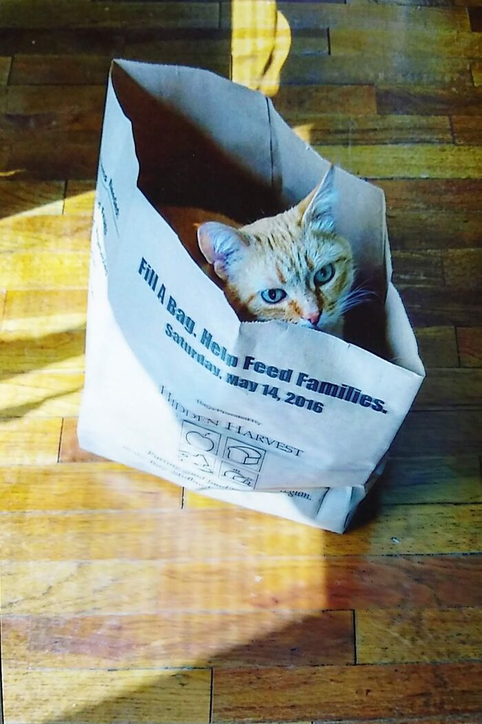 Head Start On Helping Out Our Community!