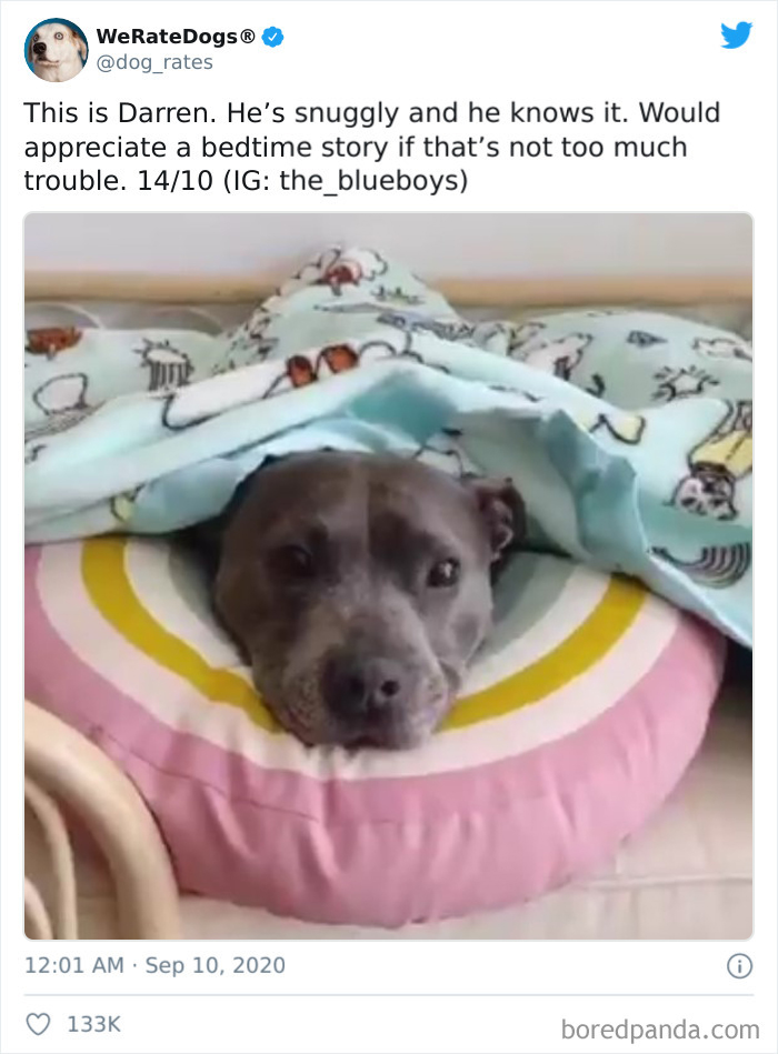 We-Rate-Dogs-Twitter