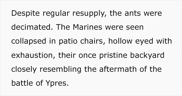 Jerk Neighbors Pour Poison Over Couple's Tomatoes, Couple Unleash An Ant Army On Them Jerk Neighbors Pour Poison Over Couple's Tomatoes, Couple Unleash An Ant Army On Them