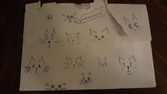 My 3 Cats---In A Variety Of Moods :)