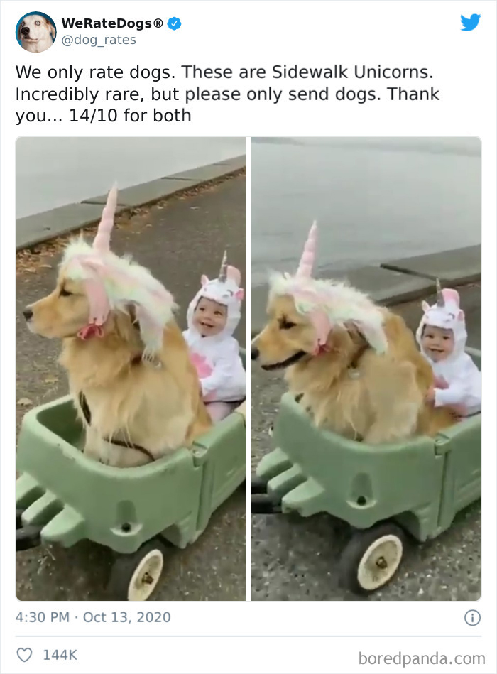 We-Rate-Dogs-Twitter