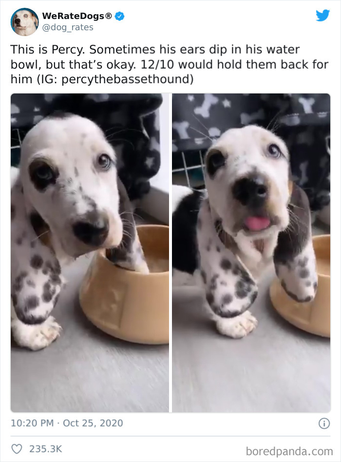 We-Rate-Dogs-Twitter