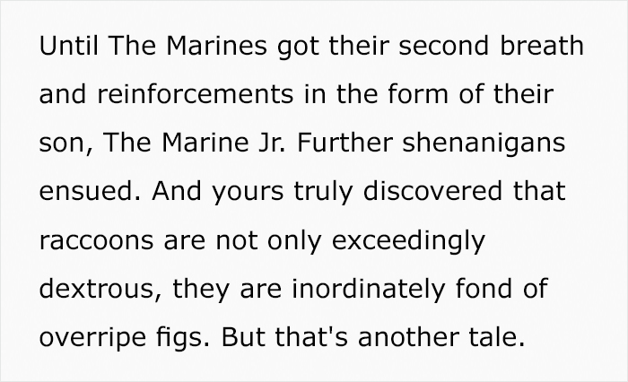 Jerk Neighbors Pour Poison Over Couple's Tomatoes, Couple Unleash An Ant Army On Them Jerk Neighbors Pour Poison Over Couple's Tomatoes, Couple Unleash An Ant Army On Them