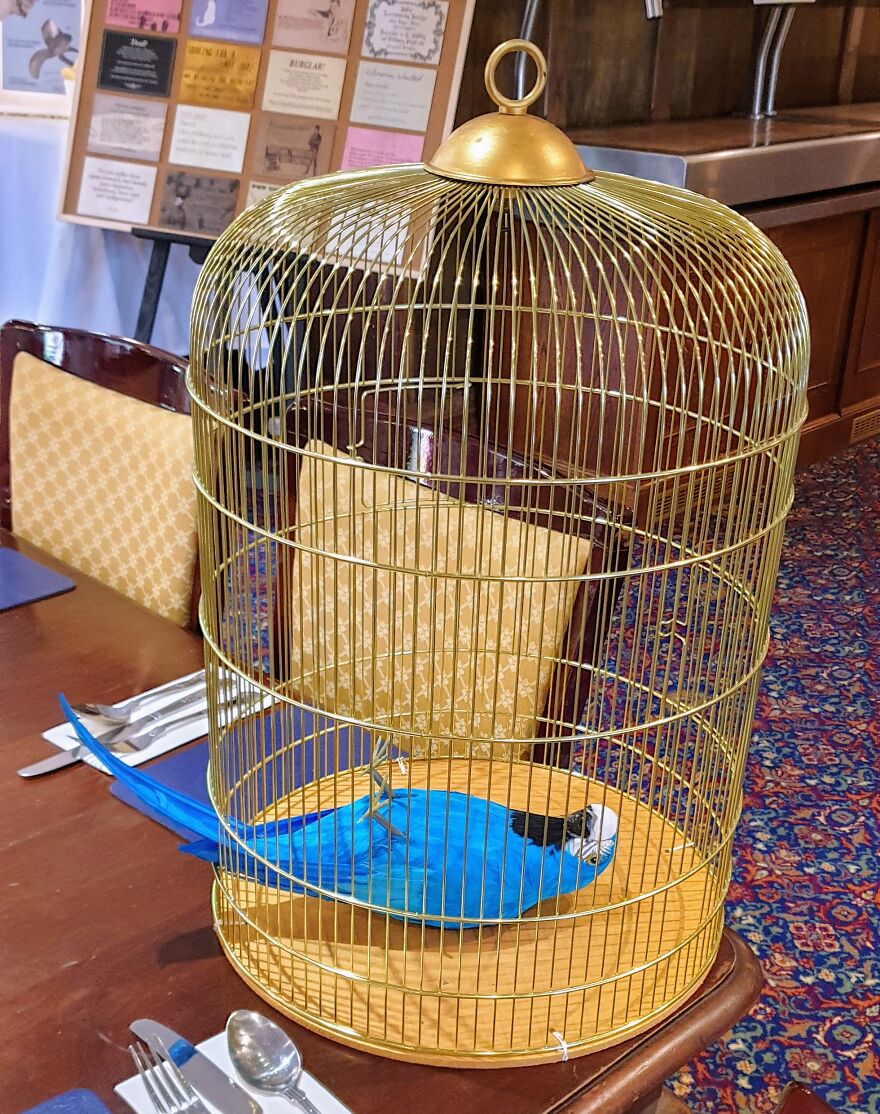 50 Reasons Why Our Wedding Will Always Be The Most Heavily Themed Monty Python Wedding Of All Time 50 Reasons Why Our Wedding Will Always Be The Most Heavily Themed Monty Python Wedding Of All Time