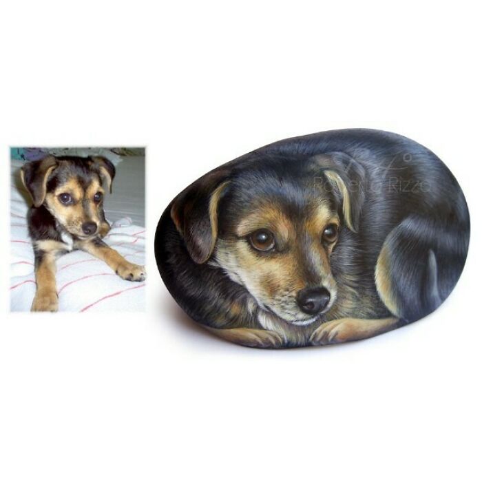 Hand-Painted-Rocks-Stone-Art-Animals-Robertorizzoart