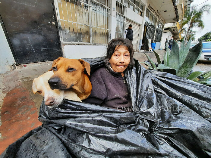 Homeless Woman Found In A Garbage Bag On The Street With 6 Dogs Refuses To Go To A Shelter Because They Don't Allow Pets