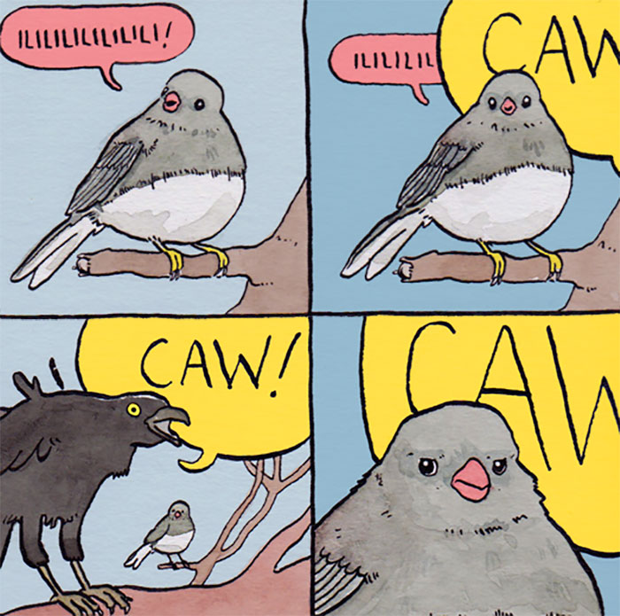 Animals-Birds-Comics-False-Knees