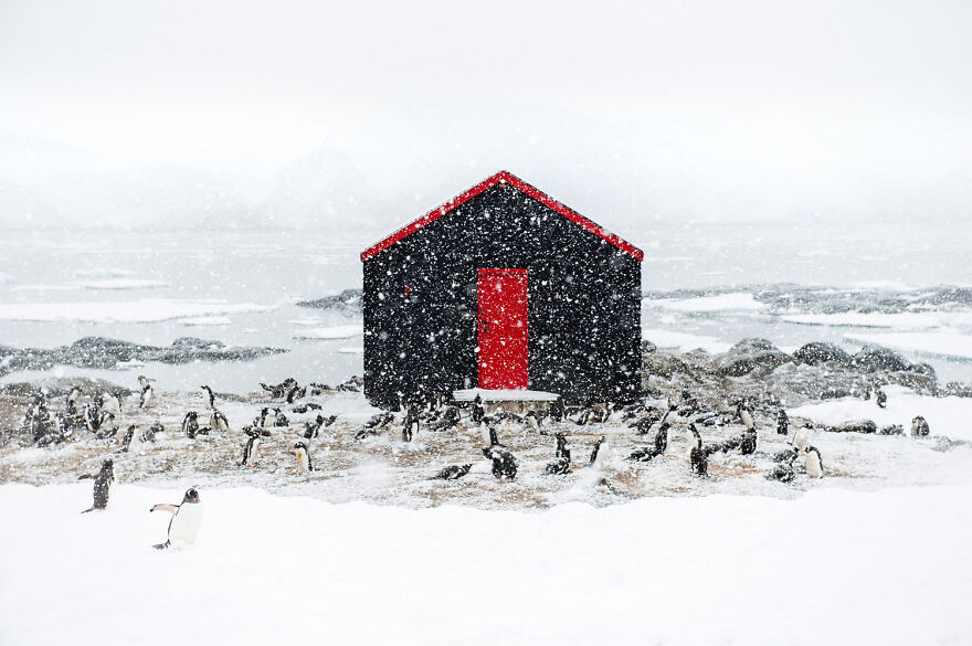 Lorraine Turci – 2nd Prize