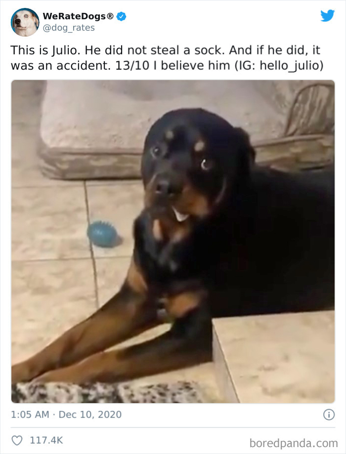 We-Rate-Dogs-Twitter