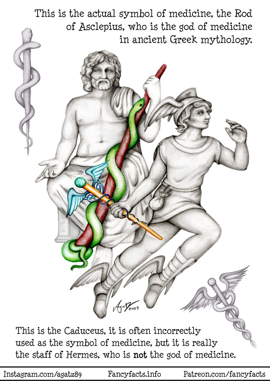 Rod Of Asclepius vs. The Caduceus