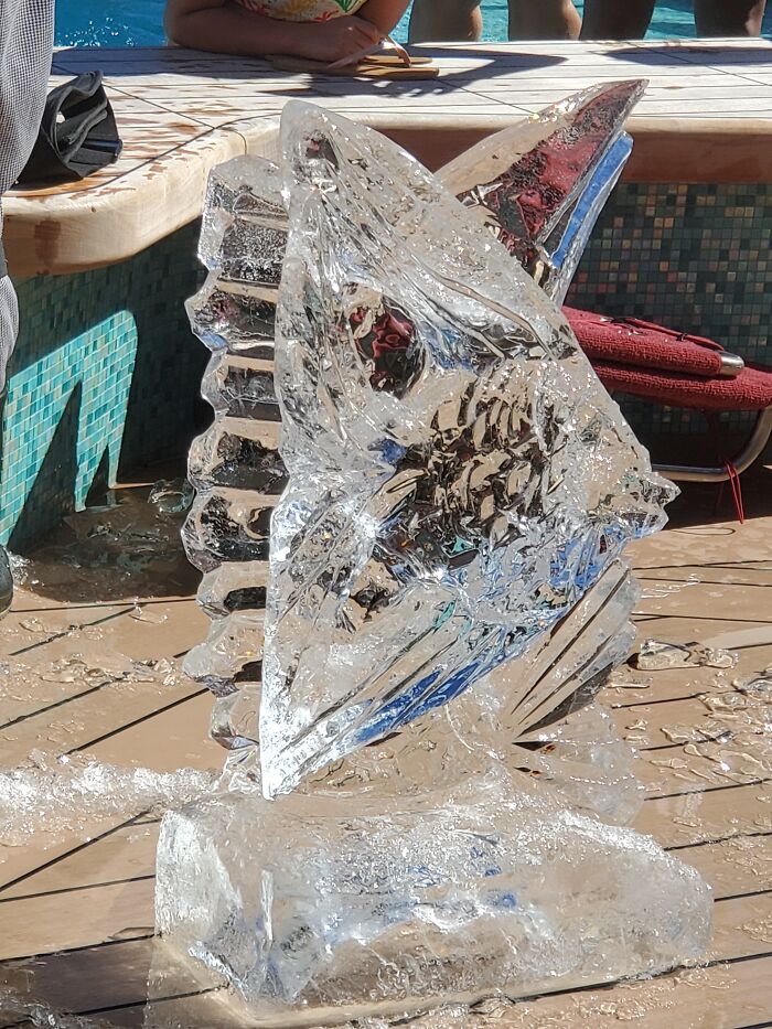 Hard To See, But Thats A Fish