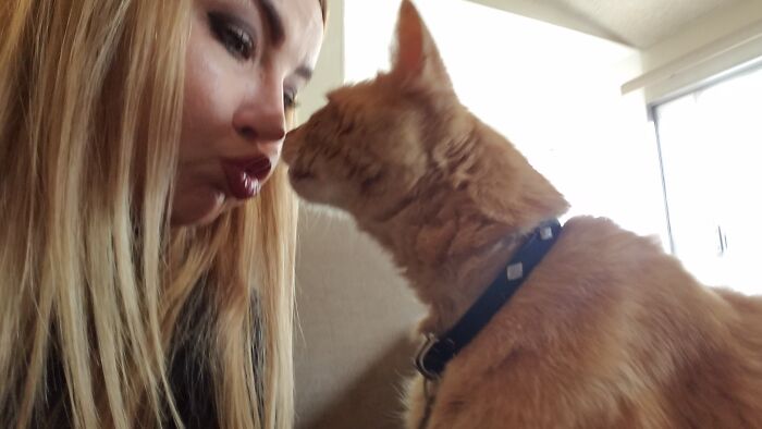 I Love My Tabby Boy!