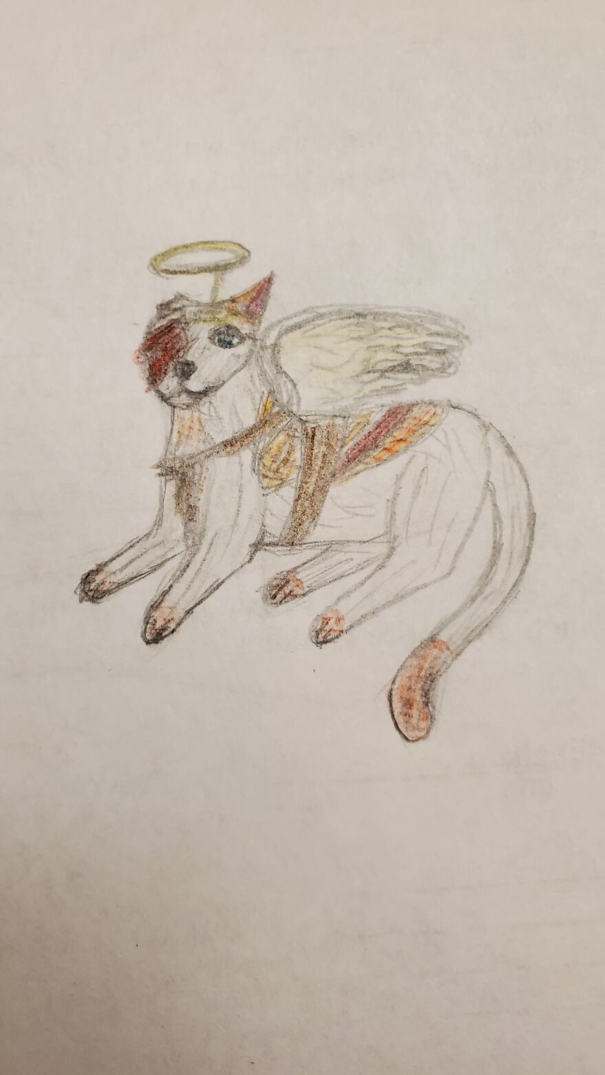 Did This A While Ago For Warriors Fanart- It Is Brightheart In An Angel Costume :3