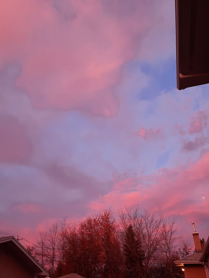 Sunset From My Backyard