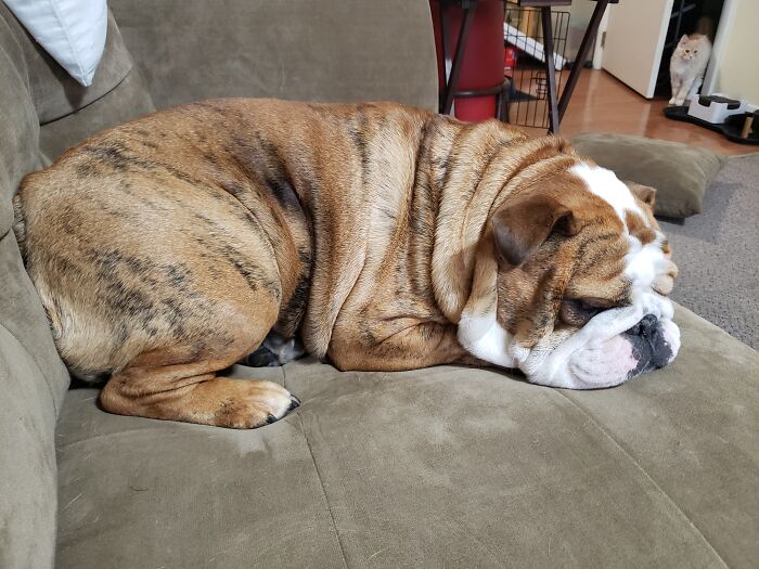 25 Hours A Day, 8 Days A Week!