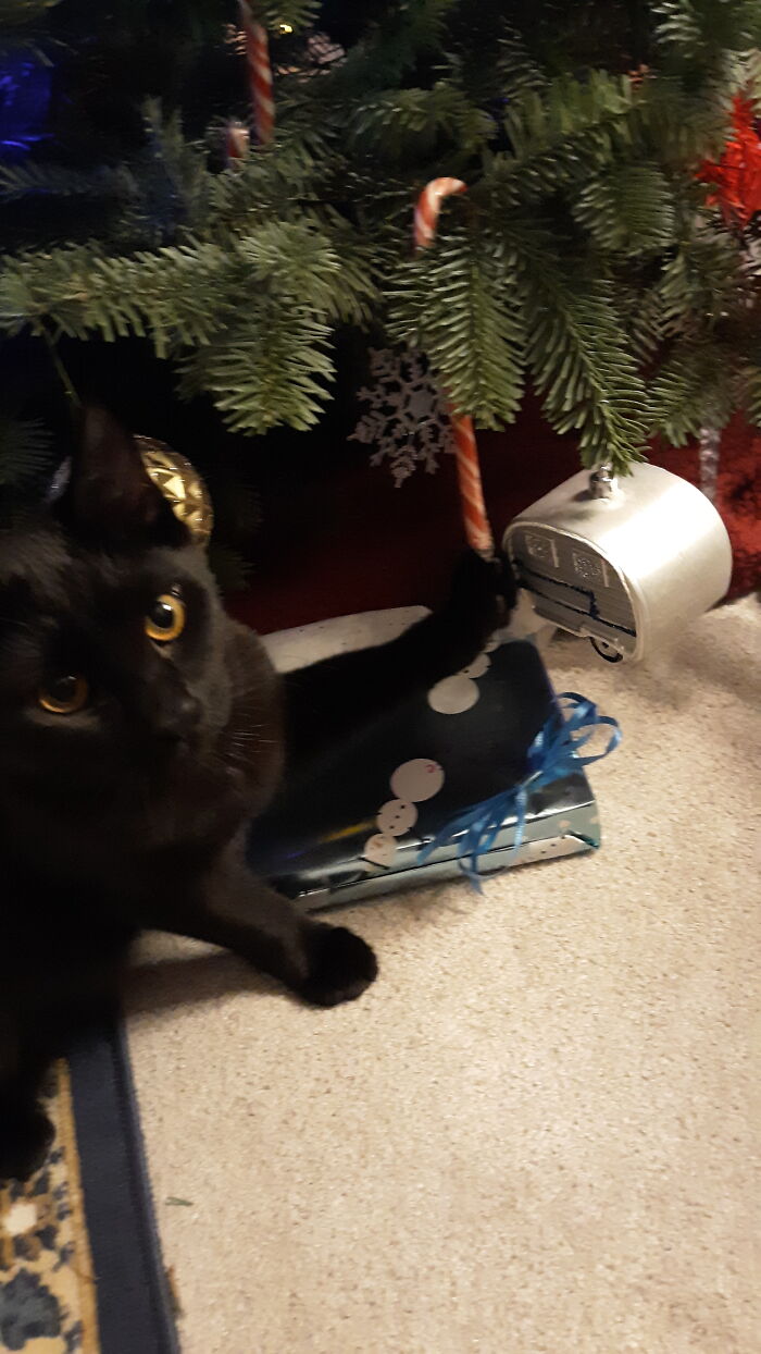 Completely Innocent Here. Nothing To See. Walk Away. I Don't Eat Candy Canes