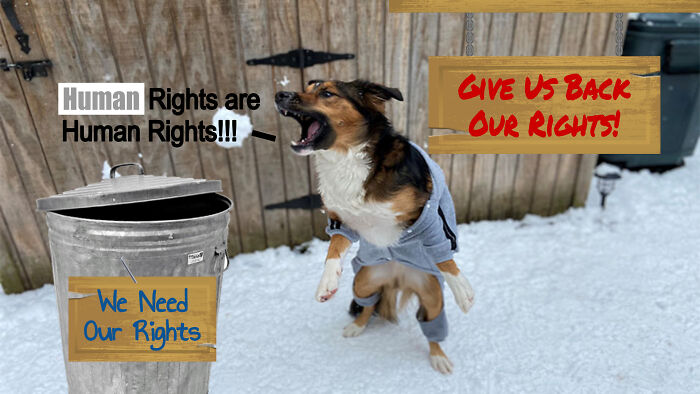 Human Rights Are Human Rights!