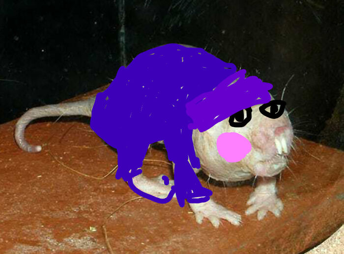 This Is Thomas. Thomas Says Hi. Thomas Says Clap Your Hands!