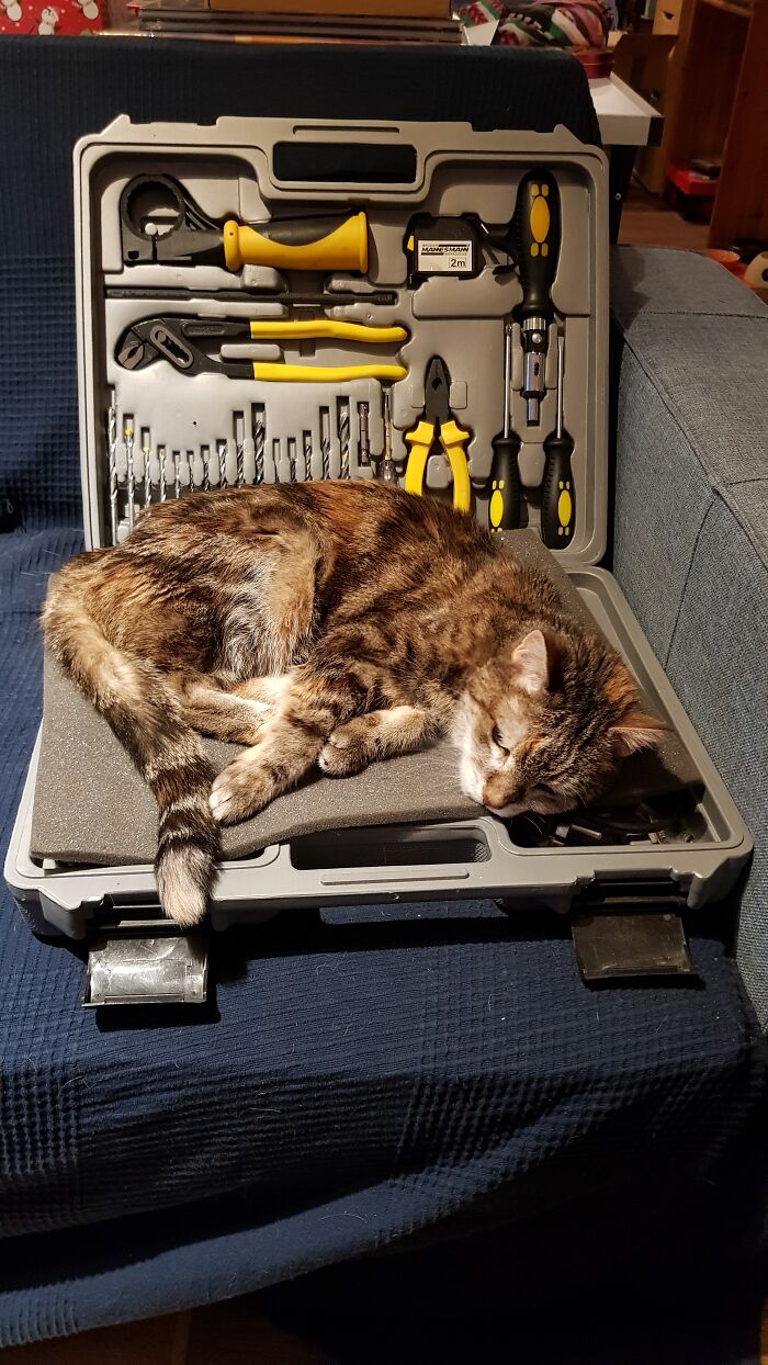 The True Reason Why I Don't Finish Those Repairs...