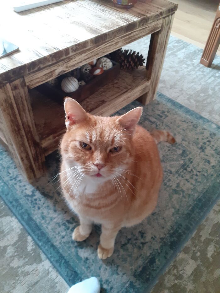 This Is Joris, He Is 8 Years Old!