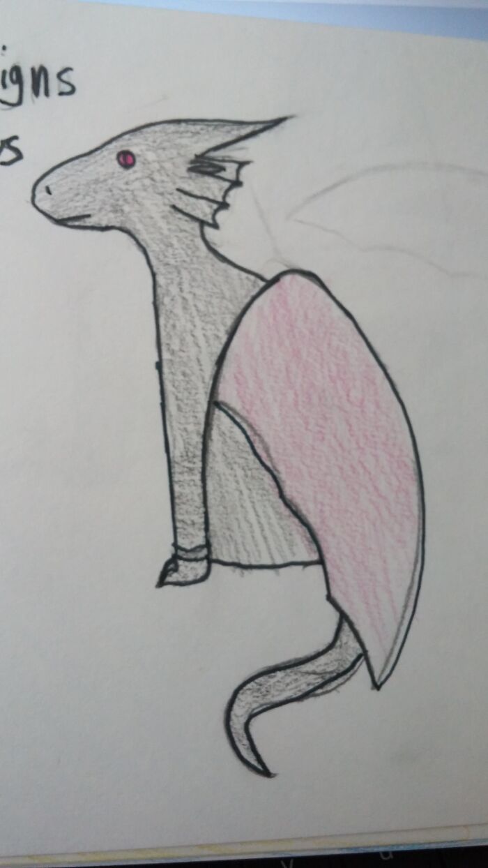 Citrus, A Rainwing/Nightwing Animus