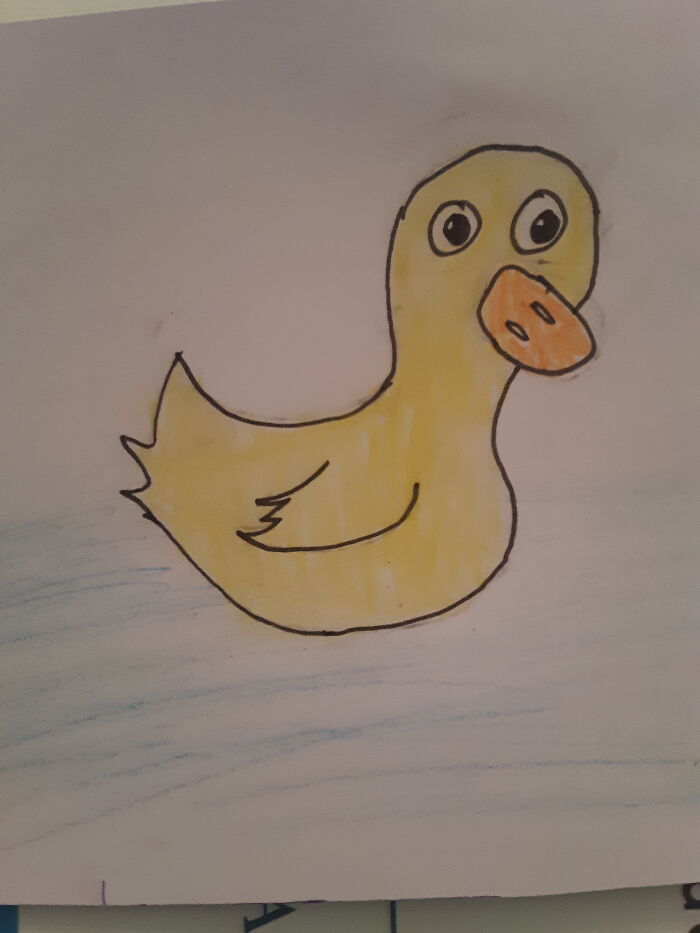 Ugly Little Duck