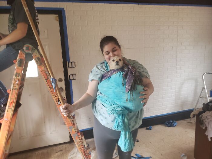 Painting The Ceiling And Petunia Got Cold