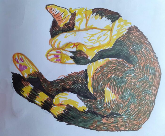 My Cat Roombie Is My Favorite Animal