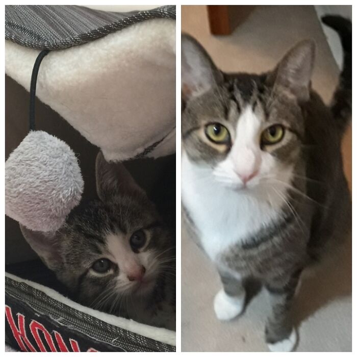 Moses Day 1 And Today Almost Five Years Later.