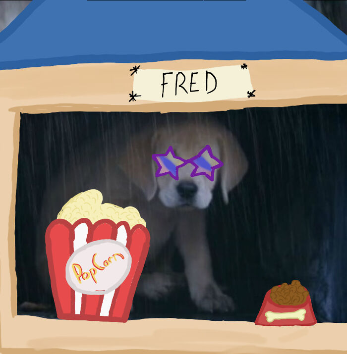 Fred Is Happy In His New Home! 🐶🐶🐕🐕