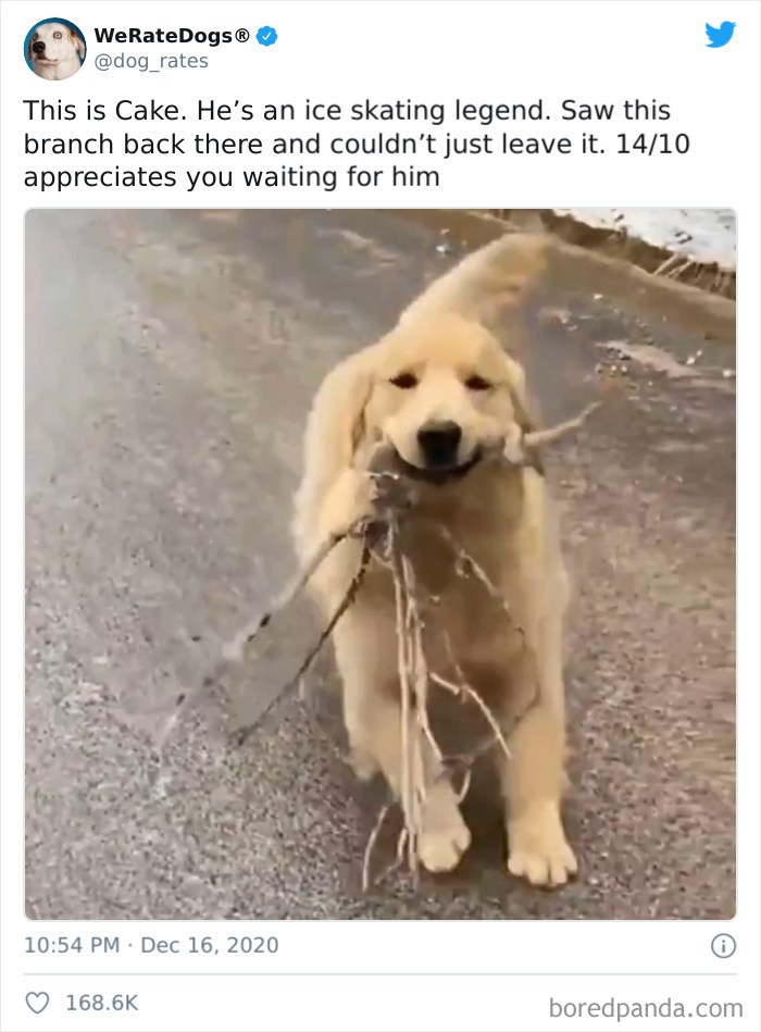 We-Rate-Dogs-Twitter