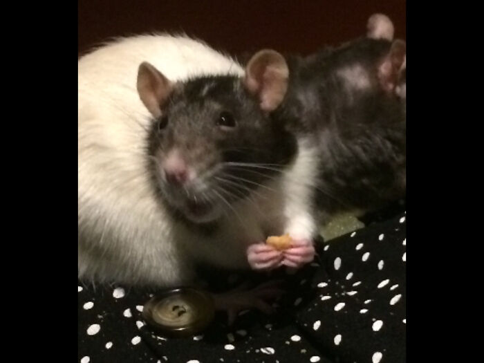 One Of My Babies, Magic!