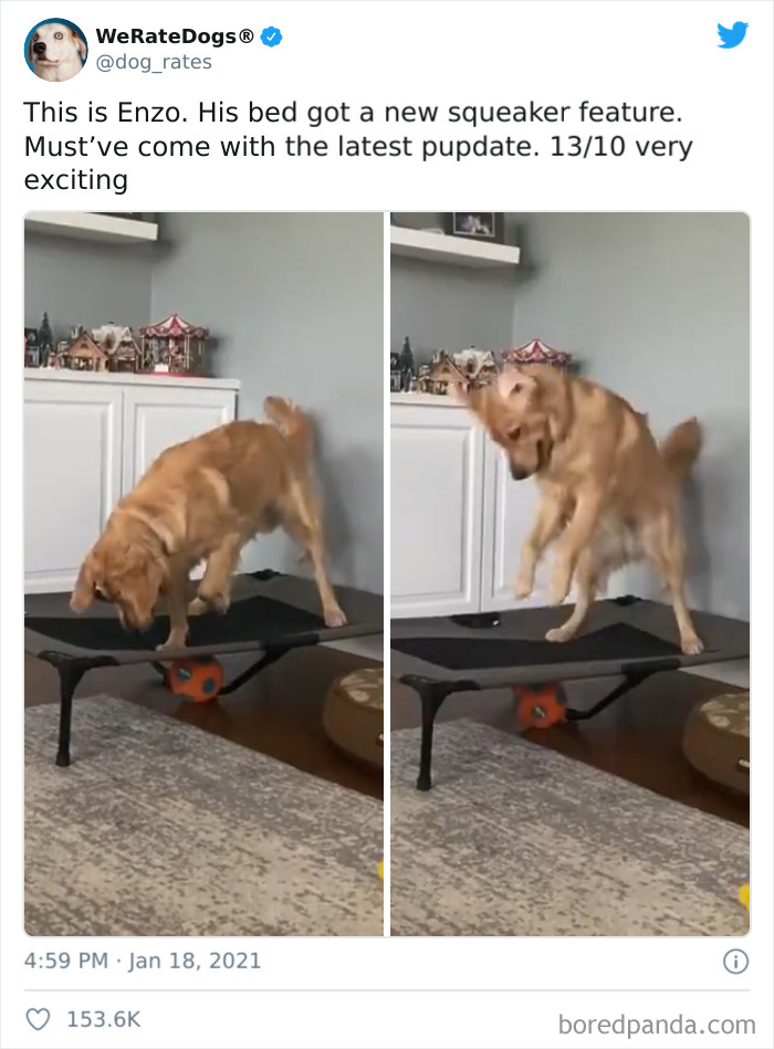 We-Rate-Dogs-Twitter