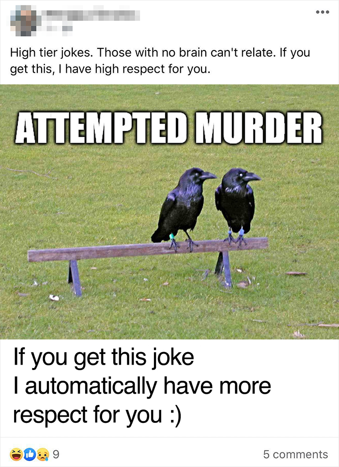 Haha... If You Don’t Get The Joke, You Are An Absolute Moron