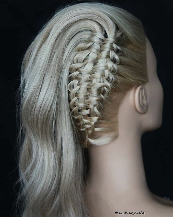 Intricate-Braids-By-Self-Taught-Artist