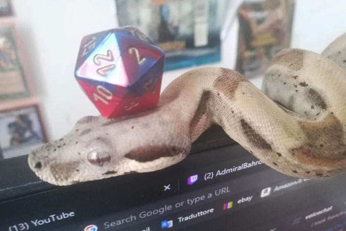 "This Time In The Bob Chronicles: Bob Discovers D&D"