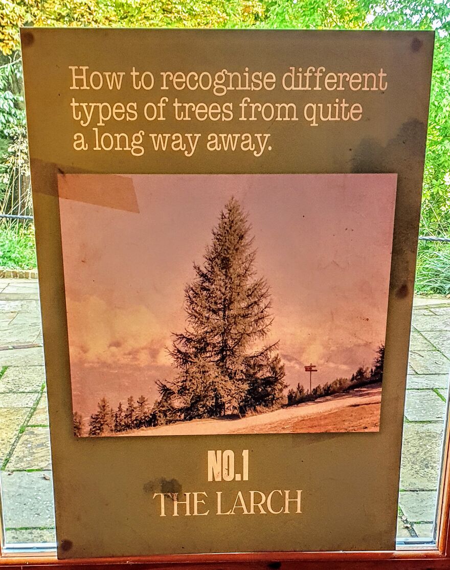 50 Reasons Why Our Wedding Will Always Be The Most Heavily Themed Monty Python Wedding Of All Time