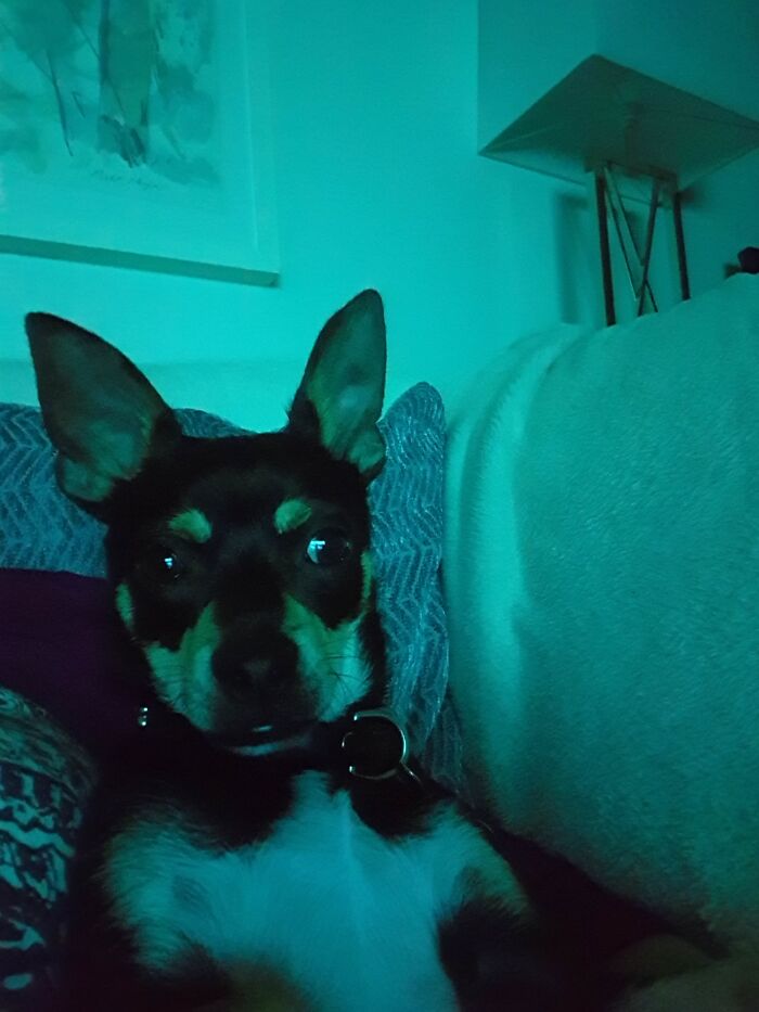 Watching Scary Movies During Covid Lockdown